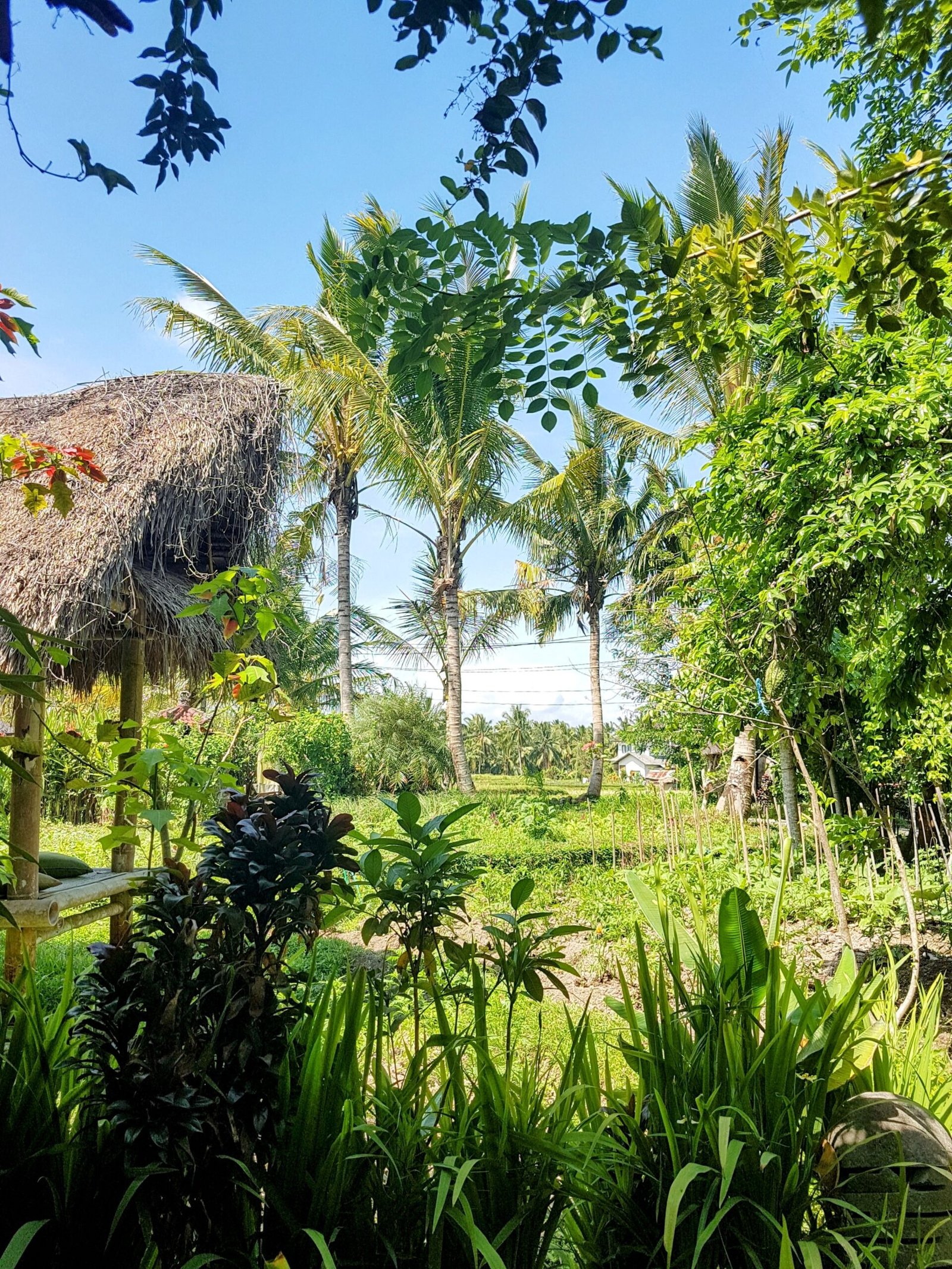 Cafe in a Balinese garden